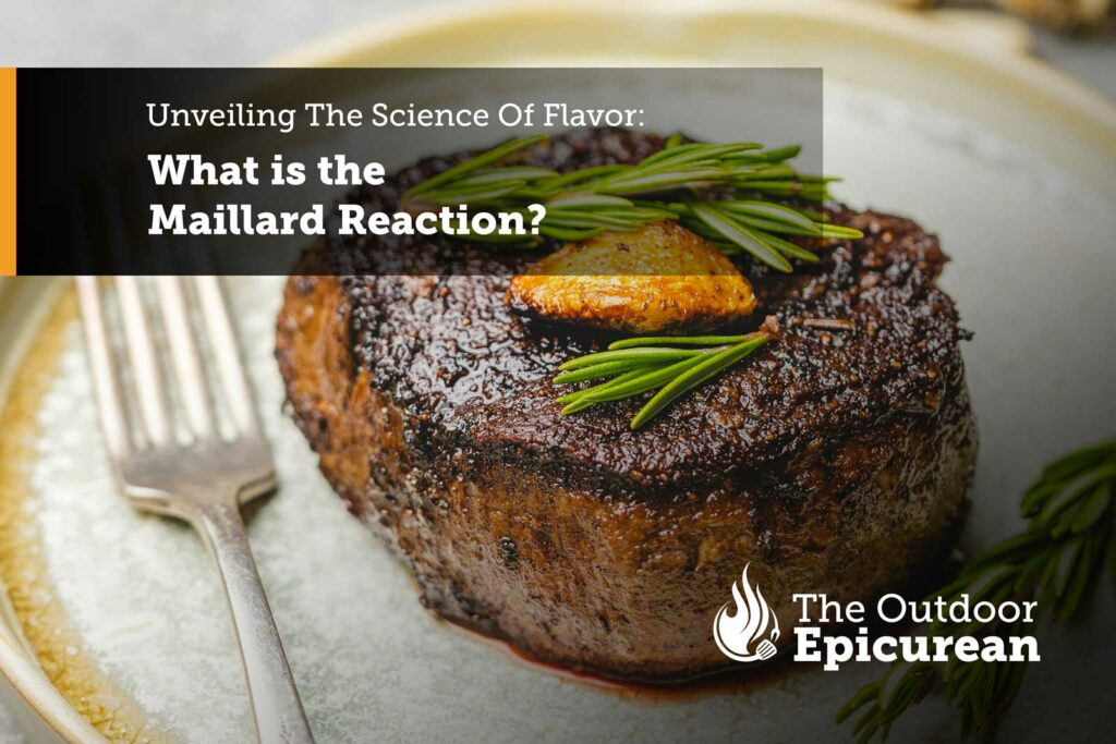 What is the Maillard Reaction?